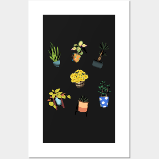 Collection of potted plants for indoor and outdoor use Posters and Art